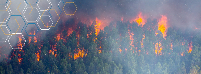 Pioneering the Future of Disaster Management with Cutting-edge Solutions