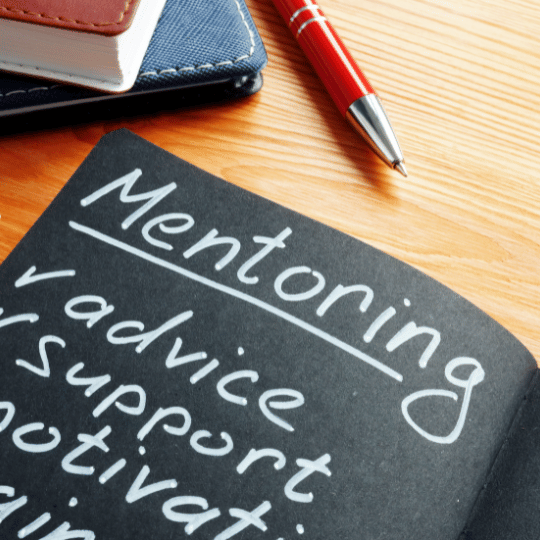 GIS mentoring checklist