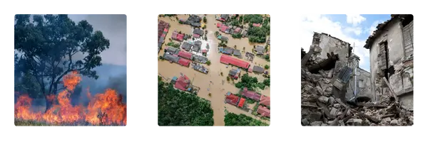 Disaster management