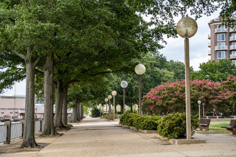 Tree-lined path along the Anacostia Riverwalk in Southwest DC
