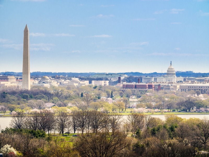 Leveraging LiDAR for Assessing Urban Tree Heights: A Case Study in Washington, D.C.