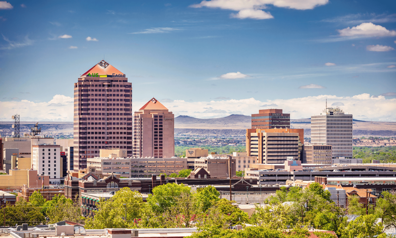 NLT at 2025 NM APCO GIS Conference: Enhancing Public Safety